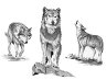    Royal & Langnickel - 