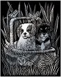   Royal & Langnickel - 