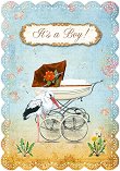   - It's a Boy - 