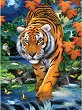 Рисуване по номера Royal & Langnickel - Тигър - 22 x 30 cm -