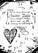  Cadence -   