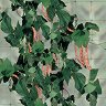        Tenax Flora - 10 m - 