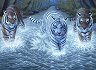    Royal & Langnickel - 