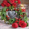    Ambiente -   