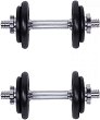 ������� inSPORTline - 2 ���� � ���� ����� 20 kg - 