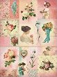   CADENCE - 
