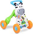 ���������� ����� Little Zebra - � ��������� ������ - �������