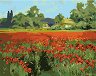 �������� �� ������ Newart - ���� � ������ - 50 x 40 cm - 