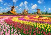 ��������� ������� ������� ���� ������ - 