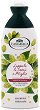 L�Angelica Officinalis Fortifying Shampoo - 