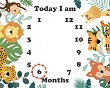   Months - 70 x 90 cm - 