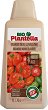     Plantella