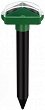     Pelsis -    650 m<sup>2</sup> - 