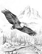    Royal & Langnickel -   