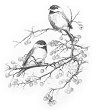    Royal & Langnickel - 