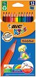 ������ ������ BIC Evolution