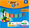  BIC