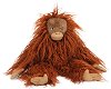   - Moulin Roty - 