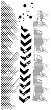  CADENCE - 