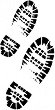  CADENCE - 
