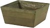   Trapezium Olive