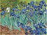 �������� �� ������ Foska - ����� - 50 x 40 cm - 