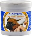         ARTERO - 