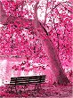 �������� �� ������ Foska - ������ ���� - 40 x 50 cm - 