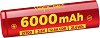  3.6 V F60 21700 - 