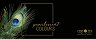   Royal Talens Pearlescent Rainbow - 