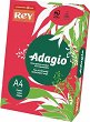 ������ ������� ������ A4 Rey Adagio - 