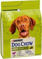 ���� ����� �� ������ Dog Chow Adult - 