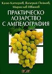 ����������� ��������� � ������������ - 