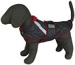 ����� �� ������ HAPPY PUPPY - 