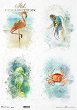 ��������� ������ ITD Collection - ������ �������