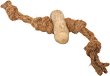     Divus - 