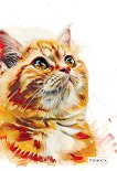 ���������� �������� � ������ ������ - 