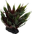 ���������� �������� �� �������� REPTI PLANET Agave Succulent - 