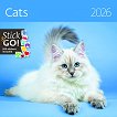   - Cats 2026 - 