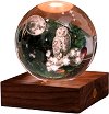   Gingko Owl Moon -   Amber Crystal Light - 