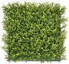     My Garden Mimosa CCGA030 - 50 x 50 cm - 