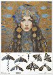 ��������� ������ ITD Collection - ������� � �� ���� ������