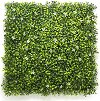     My Garden Boxwood with Jasmine CCGA002 - 50 x 50 cm - 