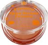 Bell Pumpkin Spicy Bronze Powder - 