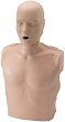     Prestan -  - 36 / 59 / 18 cm,    - 