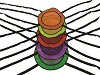      Vinex - 
