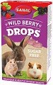   Sanal Wild Berry Drops Sugar Free - 45 g,    - 