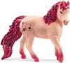 ������� �� ������� �������� - Schleich - 