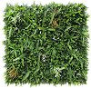     My Garden Savane CCGA137 - 100 x 100 cm - 