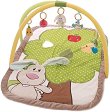   NICI - 